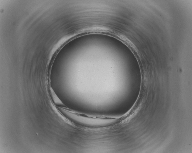 X0000073930989200609011830