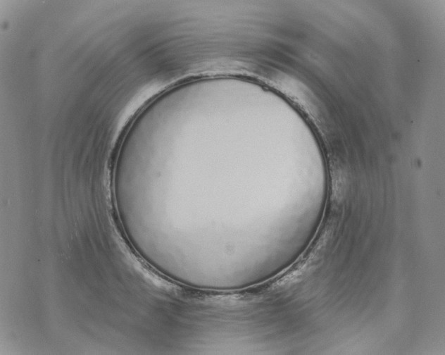 X0000073930990200609011830