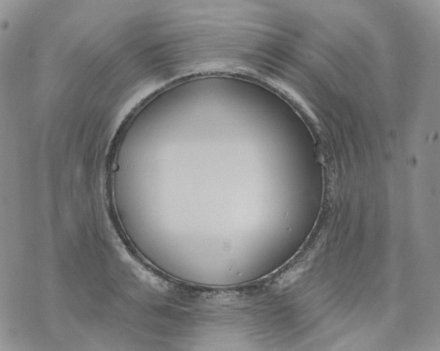 X0000073930991200609011830