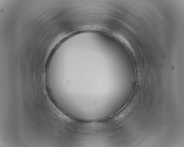 X0000073930992200609011830