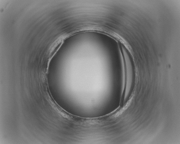 X0000073930993200609011830