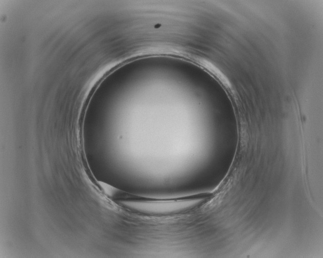 X0000073930996200609011830