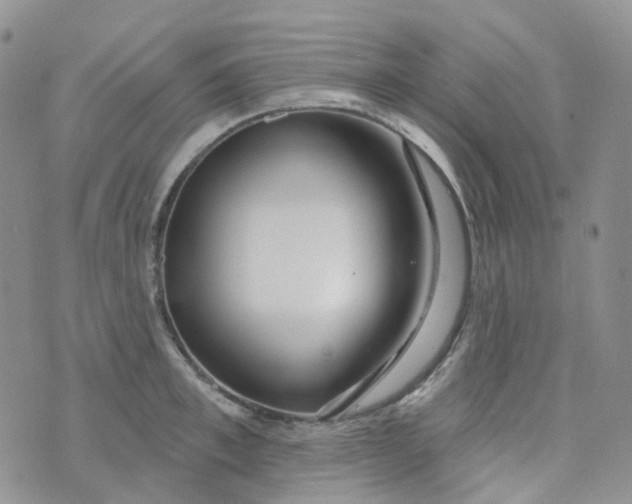 X0000073930997200609011830