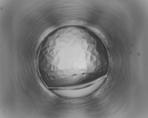 X0000073930998200609011830