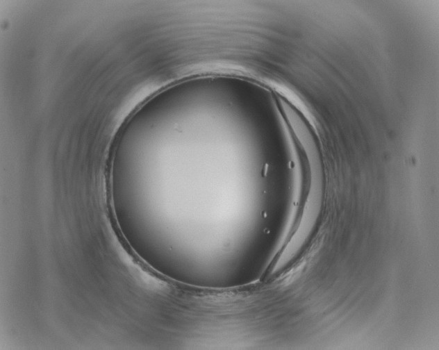 X0000073930999200609011830