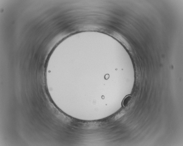 X0000073931000200609011830