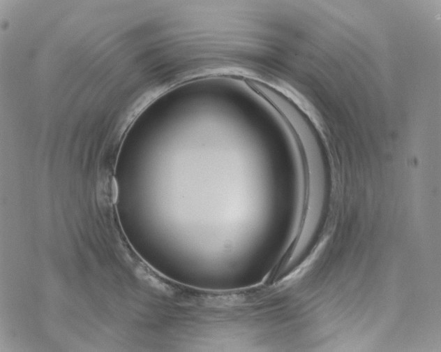 X0000073931001200609011830