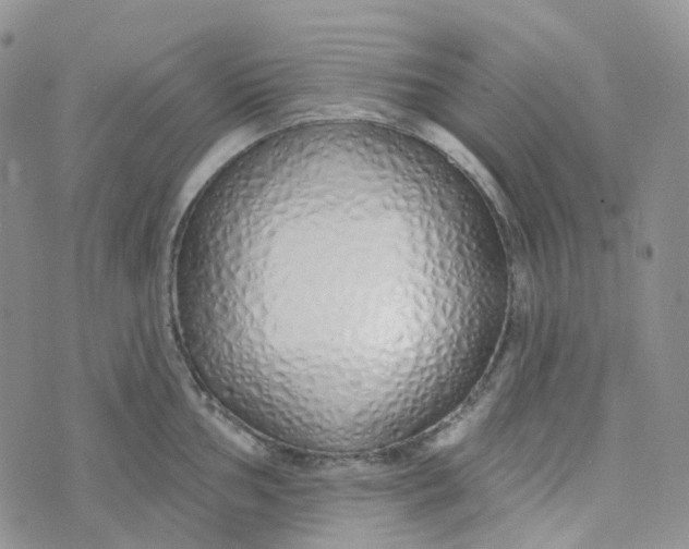 X0000073931002200609011830