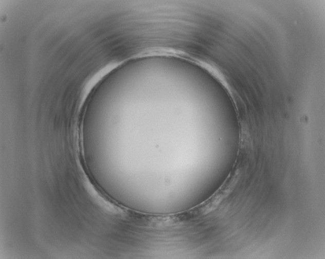 X0000073931003200609011830