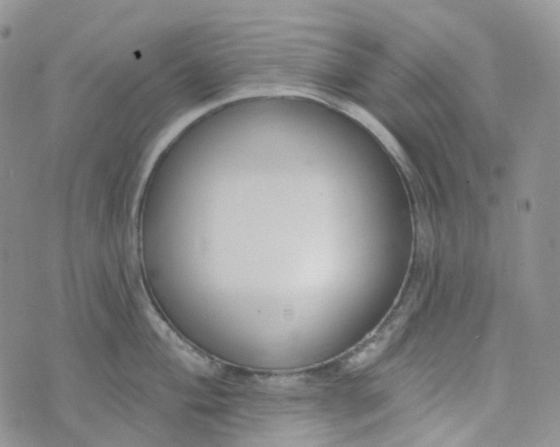 X0000073931004200609011829