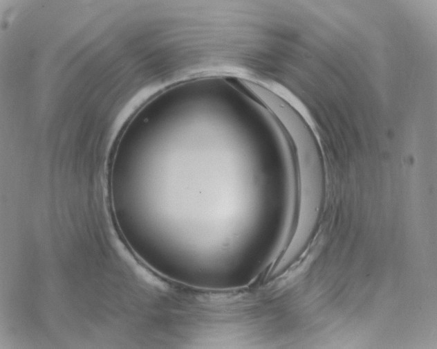 X0000073931005200609011829