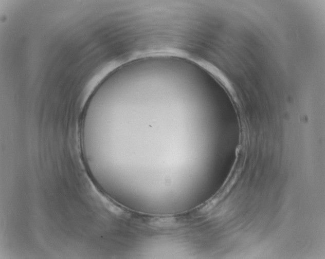 X0000073931006200609011829