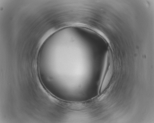 X0000073931007200609011829