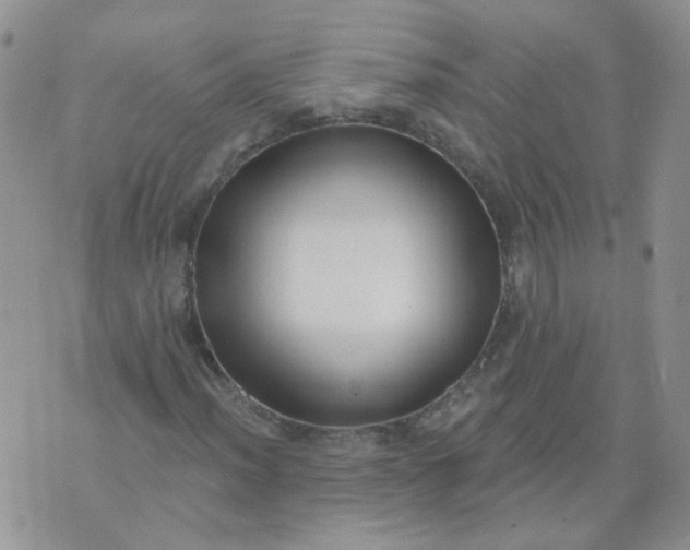 X0000073931012200609011829