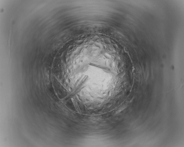 X0000073931013200609011829