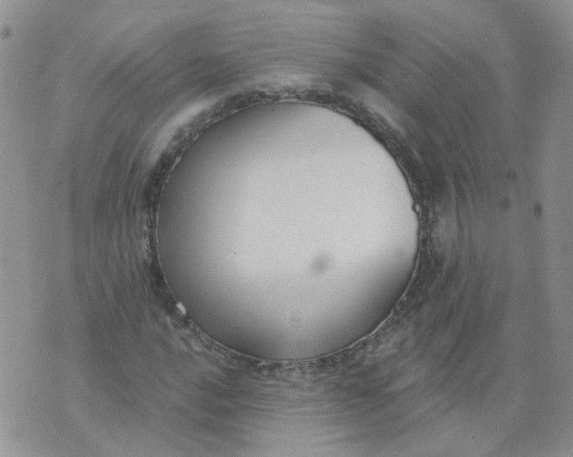 X0000073931016200609011829