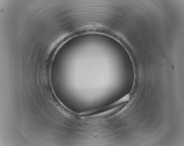 X0000073931018200609011829