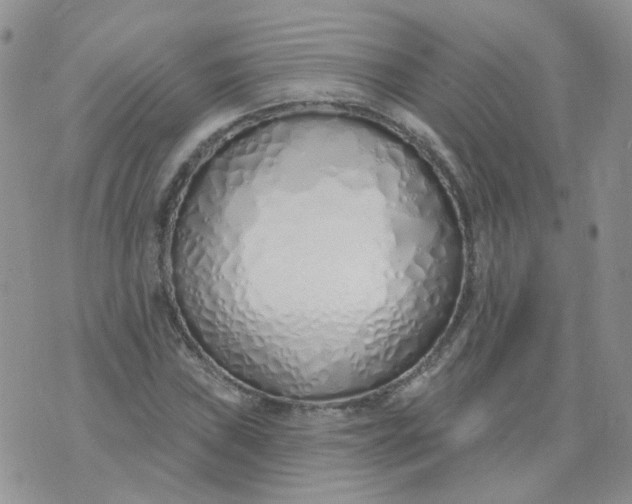 X0000073931019200609011829