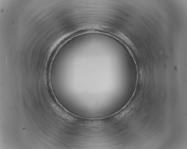 X0000073931020200609011829