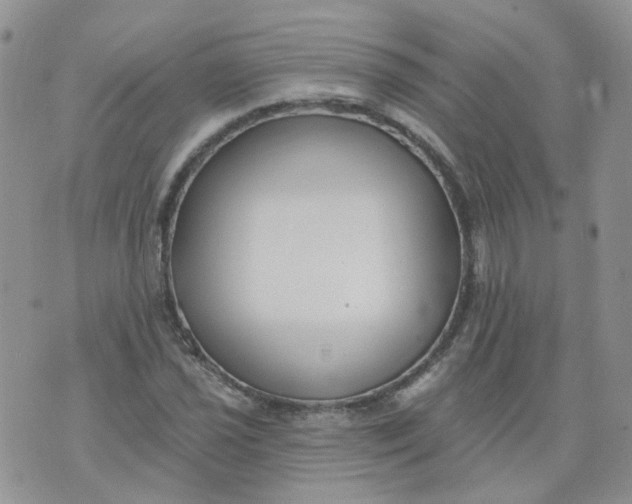 X0000073931021200609011829