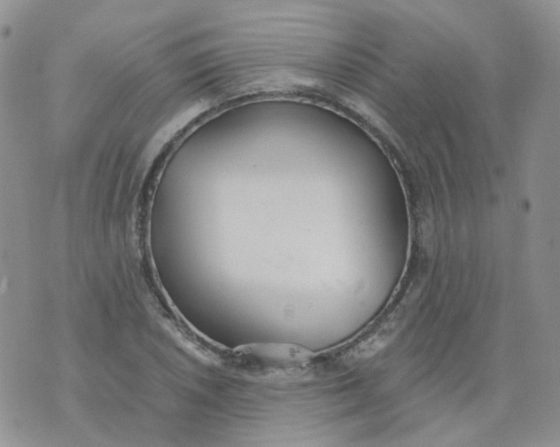 X0000073931026200609011829