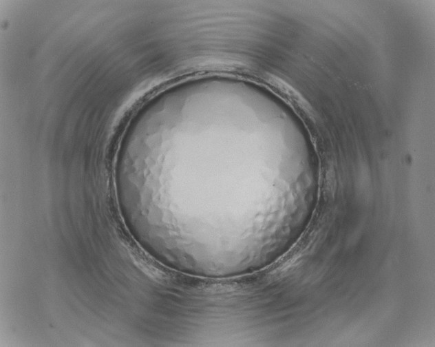 X0000073931027200609011829