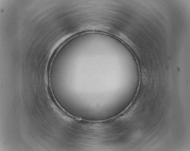 X0000073931028200609011829