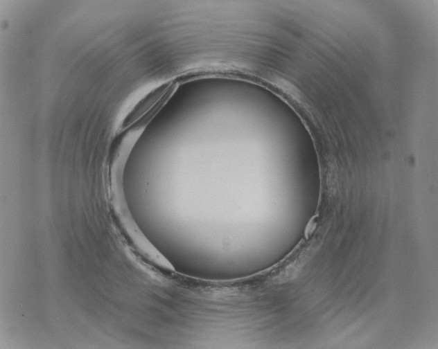 X0000073931030200609011829