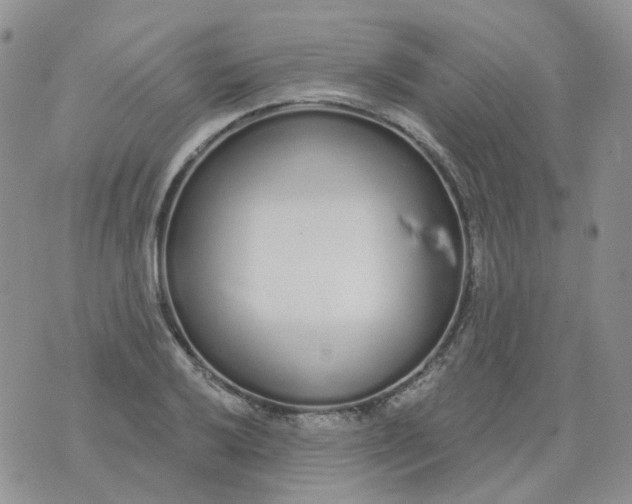 X0000073931032200609011829