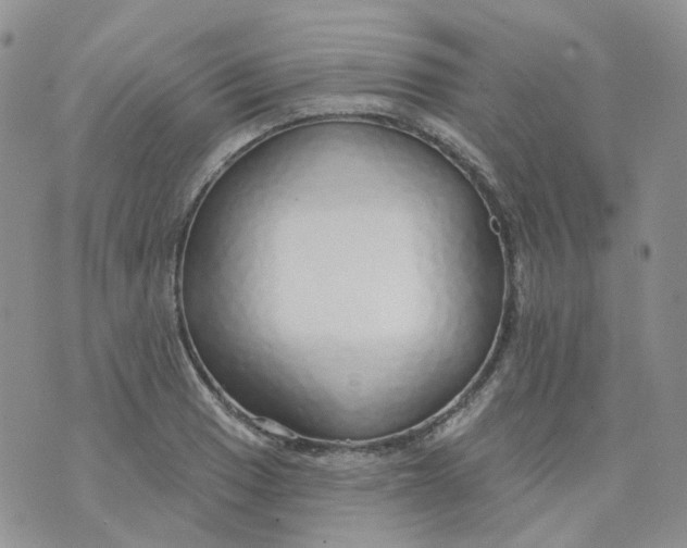 X0000073931033200609011829