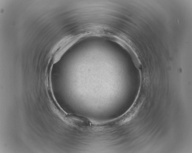 X0000073931034200609011829