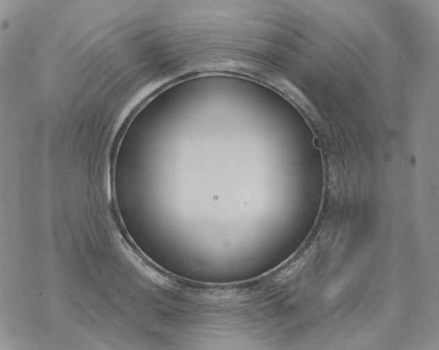 X0000073931036200609011829