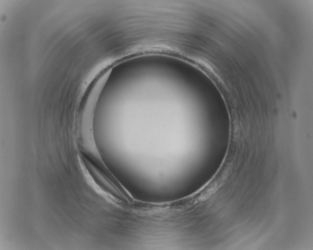 X0000073931038200609011829