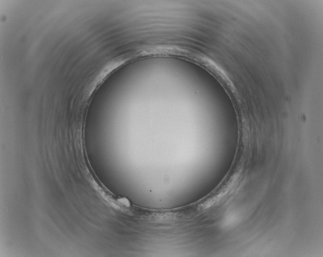 X0000073931041200609011829