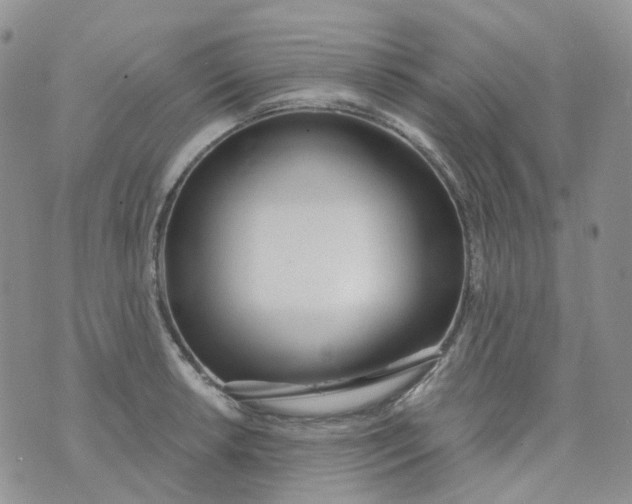 X0000073931042200609011829