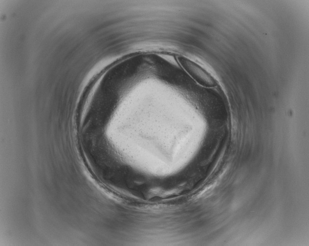 X0000073931045200609011829