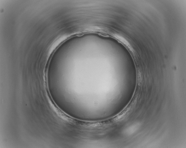 X0000073931047200609011829