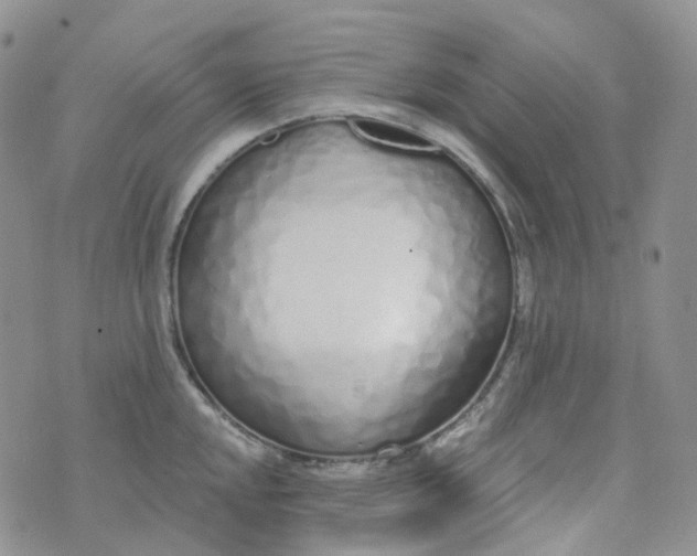 X0000073931048200609011829