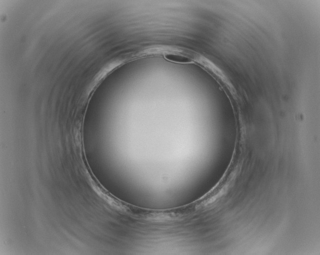 X0000073931049200609011829