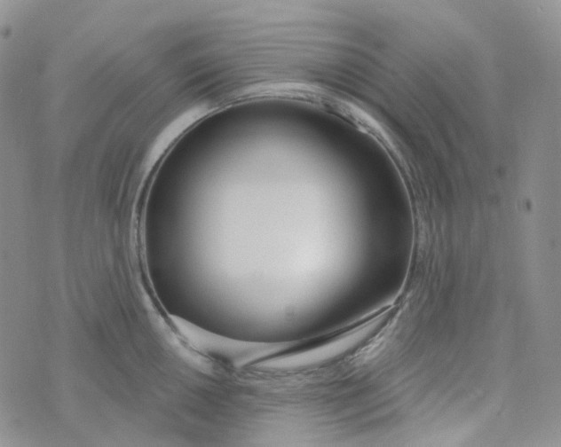 X0000073931050200609011829