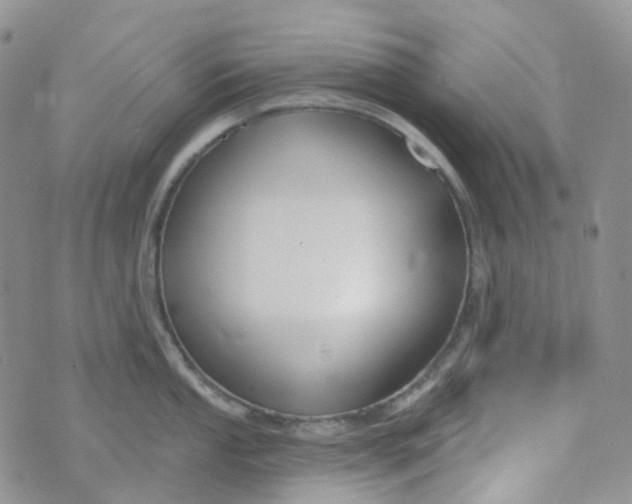 X0000073931053200609011829