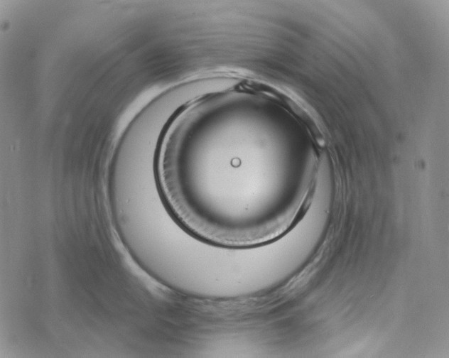 X0000073931054200609011829