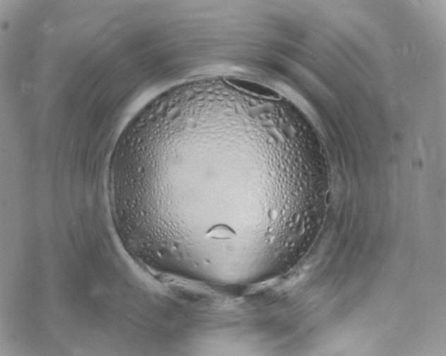 X0000073931055200609011829