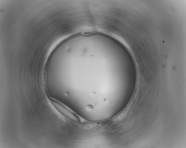 X0000073931056200609011829