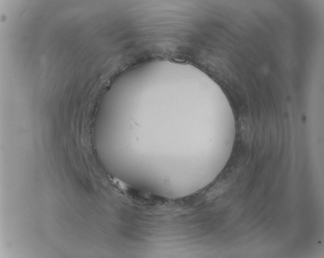 X0000073931057200609011829