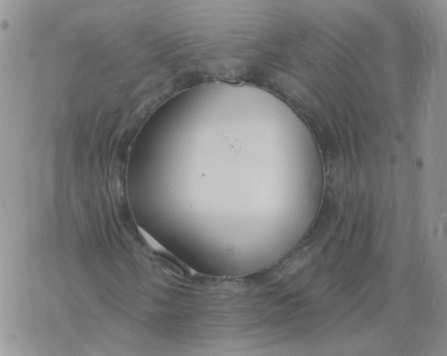 X0000073931058200609011829