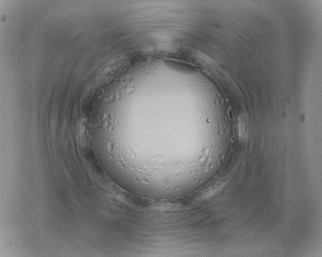 X0000073931059200609011829