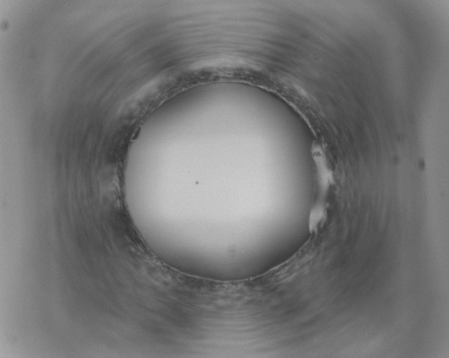 X0000073931062200609011829