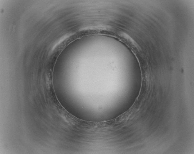 X0000073931064200609011829