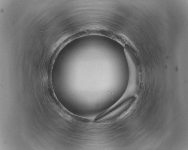 X0000073931065200609011829